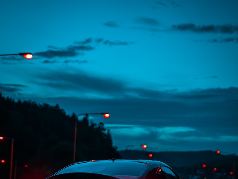Rear of a dark car with its tail lights on at dusk